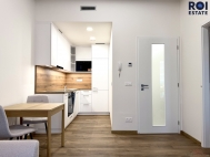 Pron�jem bytu 2+kk, 38 m2, OV, Brno, Horn� Her�pice (okres Brno-m�sto), ul. Bohunick�