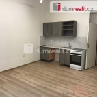 Pron�jem bytu 1+kk, 25 m2, OV, Praha 8, Karl�n, ul. �aldova