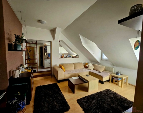 WhatsApp Image 2026-03-02 at 12.49.18.jpeg