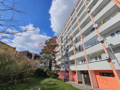 WhatsApp Image 2026-03-17 at 16.03.13.jpeg