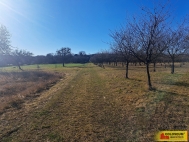 Prodej pozemku , zem�d�lsk� p�da, �t�chov (okres Blansko)