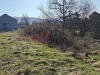 IMG_2662.jpeg