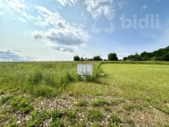 Prodej pozemku , zem�d�lsk� p�da, Choltice (okres Pardubice) - exkluzivn�