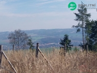 Prodej pozemku , les, Spe�ov (okres Blansko)