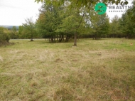 Prodej pozemku , ur�en� k v�stavb� RD, Konstantinovy L�zn�, Dlouh� Hradi�t� (okres Tachov)