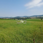 Prodej pozemku , zem�d�lsk� p�da, Holubov, Kraset�n (okres �esk� Krumlov)