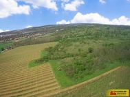 Prodej pozemku , zvl�tn�, Znojmo, Oblekovice