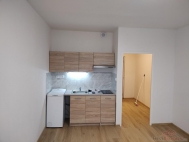 Pron�jem bytu 1+kk, 0 m2, OV, Praha 4, Hodkovi�ky, ul. �doln� - exkluzivn�