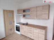 Pron�jem bytu 3+1, 72 m2, OV, D���n, D���n VI-Letn�, ul. U Tvrze