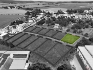 Prodej pozemku , ur�en� k v�stavb� RD, O�echov (okres Brno-venkov)