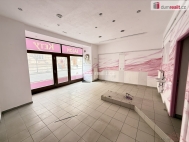 Pron�jem obchodn�ch prostor, Slan� (okres Kladno)