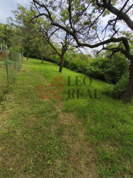 1ab13198-1f16-4901-8927-5950fe18b21d (1).jpg