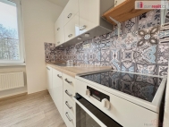 Pron�jem bytu 1+1, 36 m2, OV, �st� nad Labem, Bukov, ul. Kosmonaut�