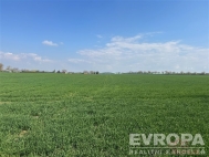 Prodej pozemku , zem�d�lsk� p�da, Ledce (okres Hradec Kr�lov�)