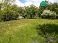 Prodej pozemku , zahrada, Kr�any, T�ebs�n (okres Bene�ov)