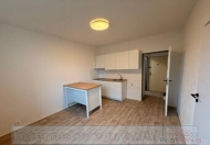 Pron�jem bytu 1+1, 0 m2, OV, �st� nad Labem, Ne�t�mice, ul. �elezn�