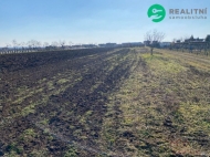 Prodej pozemku , zem�d�lsk� p�da, Moravsk� Nov� Ves (okres B�eclav)