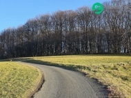 Prodej pozemku , les, Vset�n