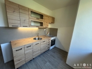 Pron�jem bytu 2+1, 59 m2, OV, Brno, �idenice (okres Brno-m�sto), ul. Slatinsk�