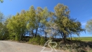 PXL_20260428_131958850.jpg