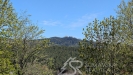 PXL_20260428_132127983.jpg