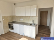 Pron�jem bytu 1+1, 35 m2, OV, �st� nad Labem, Ne�t�mice, ul. Sibi�sk�