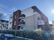 Pron�jem bytu 2+1, 59 m2, OV, P�e�tice (okres Plze�-jih), ul. �i��kova