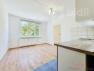 Pron�jem bytu 1+1, 37 m2, OV, Jirkov (okres Chomutov), ul. Vina�ick�