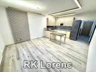 Pron�jem bytu 3+kk, 98 m2, OV, Holubice (okres Vy�kov) - exkluzivn�