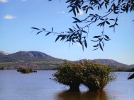 Prodej pozemku , ur�en� k v�stavb� RD, Doln� V�stonice (okres B�eclav)