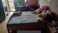 Pron�jem bytu atypick�, 0 m2, OV, 