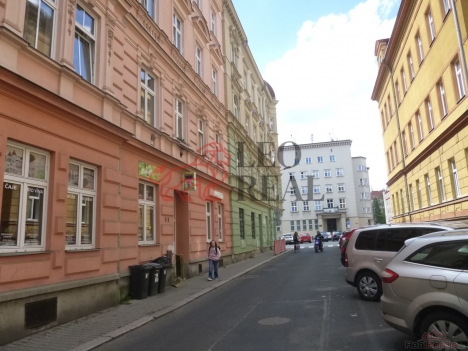 P1110135.JPG