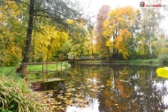 Prodej pozemku , ur�en� k v�stavb� RD, Bene�ov, Bedr�