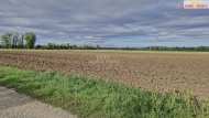 Prodej pozemku , ur�en� pro komer�n� v�stavbu, Male�ovice (okres Brno-venkov)