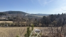IMG_9736.jpeg