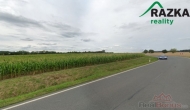 Prodej pozemku , zem�d�lsk� p�da, K�i�anov (okres P�sek)