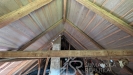 PXL_20260505_085451584.jpg