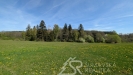 PXL_20260505_083536992.jpg