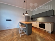 Pron�jem bytu 2+kk, 62 m2, OV, Brno, �idenice (okres Brno-m�sto), ul. B�lohorsk�