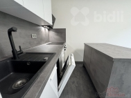 Pron�jem bytu 2+kk, 42 m2, OV, D���n, D���n II-Nov� M�sto, ul. Dvo��kova - exkluzivn�