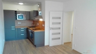 Pron�jem bytu 2+kk, 0 m2, OV, Kr�l�v Dv�r (okres Beroun), ul. Nad Stadionem