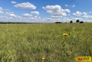 Prodej pozemku , ur�en� pro komer�n� v�stavbu, Znojmo, Mramotice