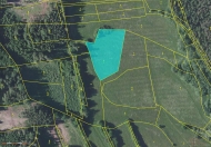 Prodej pozemku 4 873 m2, trval� travn� porost, Jankov, Kr�lovna (okres Bene�ov)