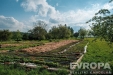 Pr�zdn� �adov� pozemek, ide�ln� pro zahradu, obklopen� zelen� s ovocn�mi stromy, vhodn� pro zem�d�lstv� nebo rekrea�n� ��ely