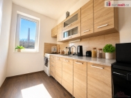 Pron�jem bytu 2+1, 64 m2, OV, D���n, D���n IX-Bynov, ul. Teplick�