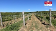 Prodej pozemku , zvl�tn�, Nov� �aldorf-Sedle�ovice (okres Znojmo)