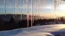 20180215_073154.jpg