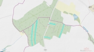 Prodej pozemku , les, Vesce, Mokr� (okres T�bor)