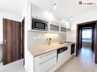 Pron�jem bytu 2+1, 60 m2, OV, �st� nad Labem, Severn� Terasa, ul. Kmochova