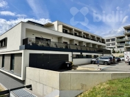 Pron�jem bytu 1+kk, 50 m2, OV, Brno, Sadov� (okres Brno-m�sto), ul. Koci�nka